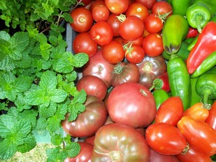 Légumes produit sur la ferme